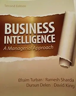 Business intelligence : a managerial approach - Begagnad bok